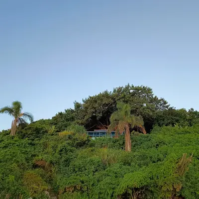 A hidden home