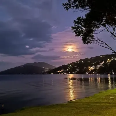 Moonlight at the lake
