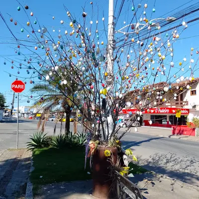 Tree of eggs