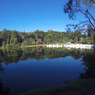 Reflection