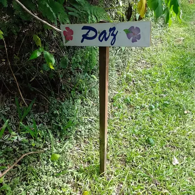 Peace