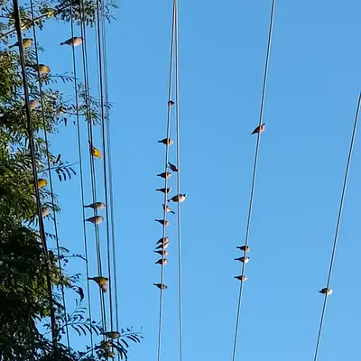 Look up