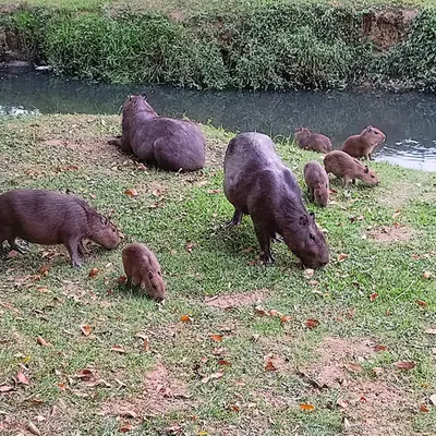 Hanging out with family