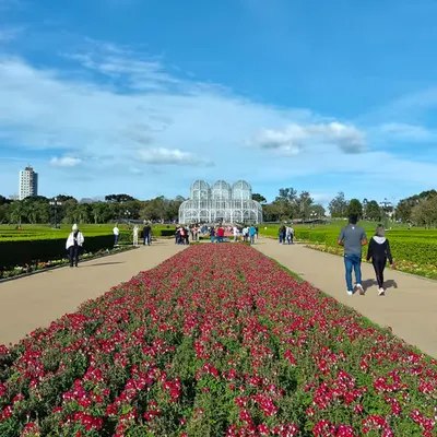 Visiting botanical garden