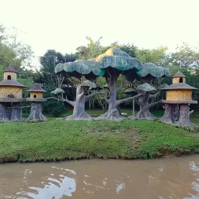 Island of apes