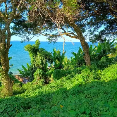Greens and blues