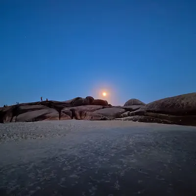 Sun or Moon?