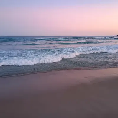 Ocean is my home