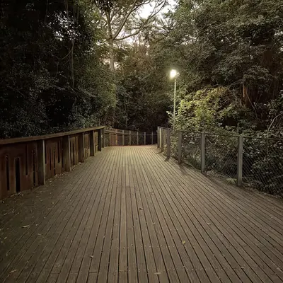 Alone