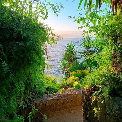 Path to paradise