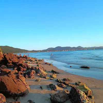 Beach of rocks