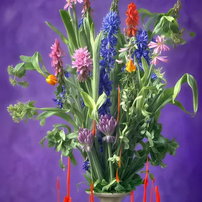 Fleurs Synthétiques, 2022-2025