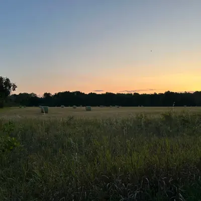 Dusk to Dawn