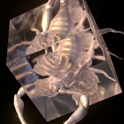 PEARL CREATION//