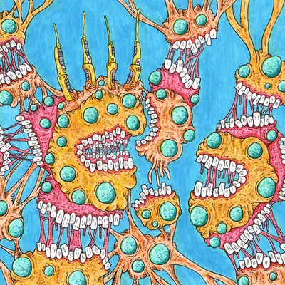 Interneuron