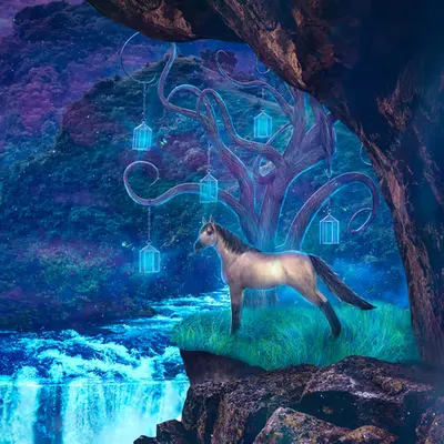 Free Spirit 