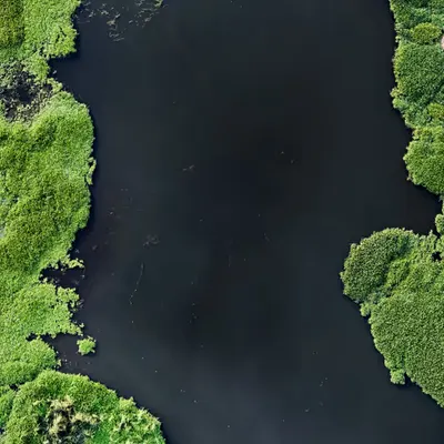 Green frontiers 