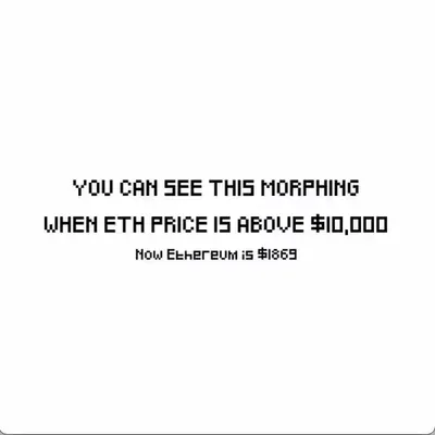 Can you Hodl the Morphing?