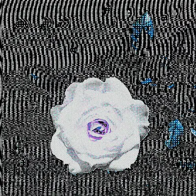 GM 8.2