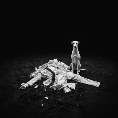 Goodbye Rabbit