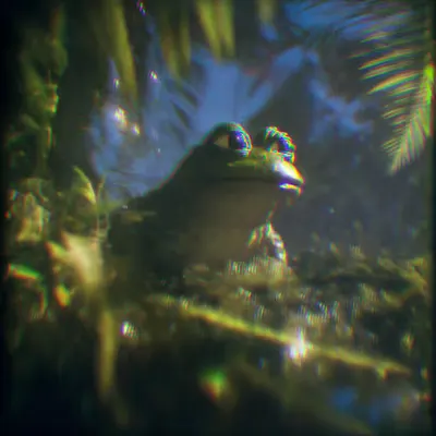blissful frog
