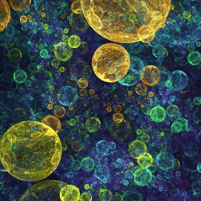 Bubble