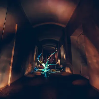 Light has taken roots.