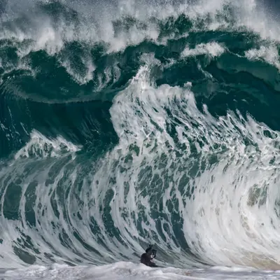 Man Vs Wave