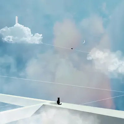 A walk through the clouds ☁