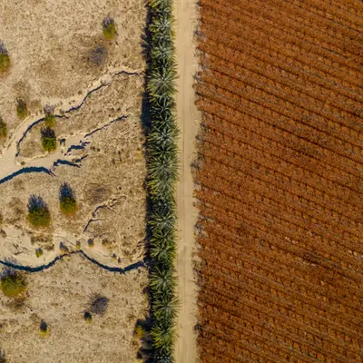 Desert Divide