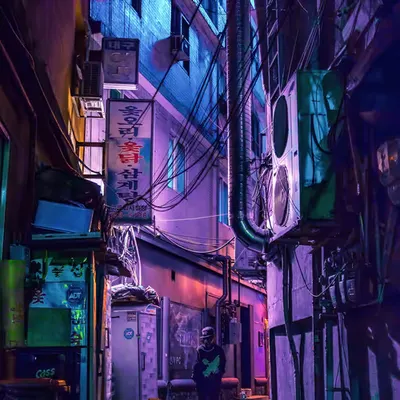 Into the Night