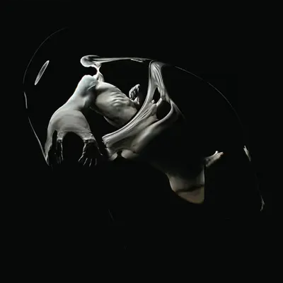 Flesh_Structure #3 L'bank