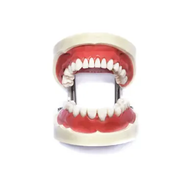 Show Me Your Teeth