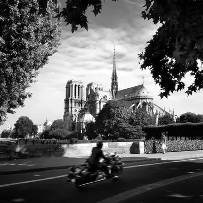 Contrasts... Notre Dame (the original)