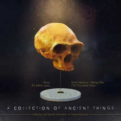 A Collection Of Ancient Things - Venus