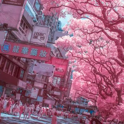 Hong Kong Infrared World