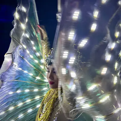 The Colour & Love of Light- Shine Bright, Fly High - Be True- Dream