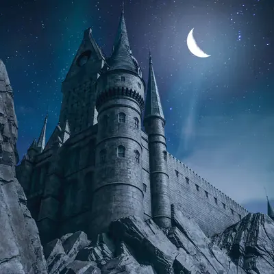 THE CASTLE