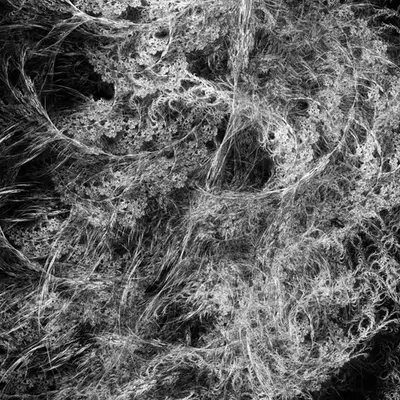 .//Through Decay Rebirth