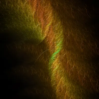 Grass