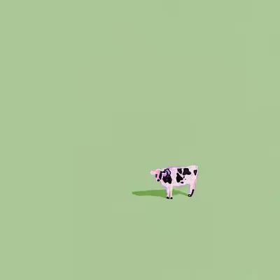 Melancholy Cow