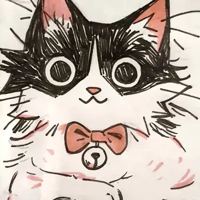 portrait of my cat zai