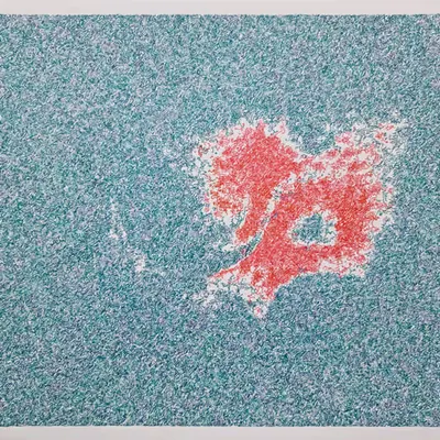 Roses de corail