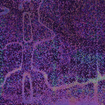 #2000002