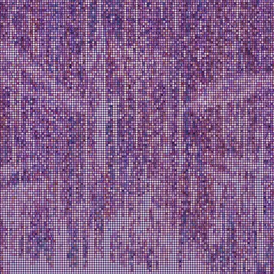 #2000025