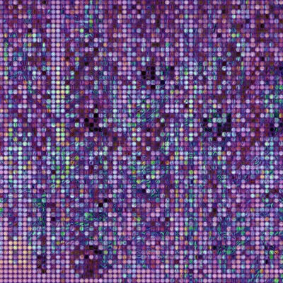 #2000081