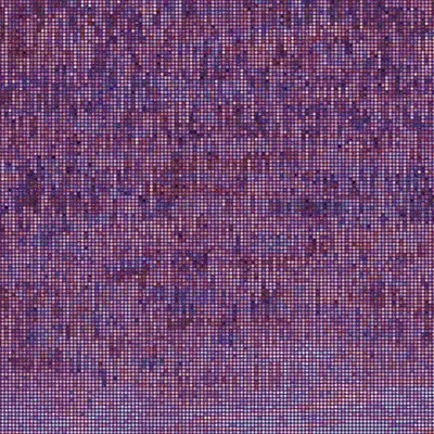 #2000083