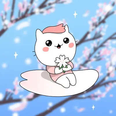 Chum Sakura