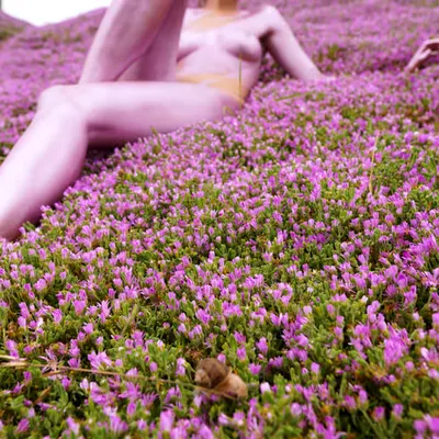 Magic Carpet #4