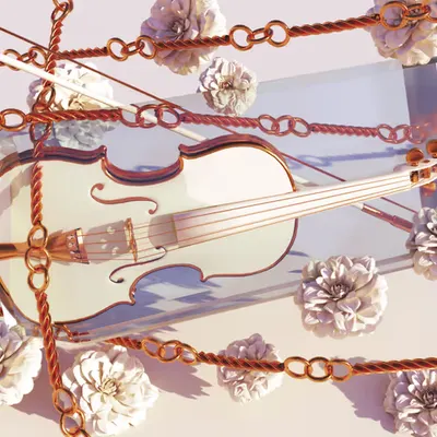 Violin on Ice